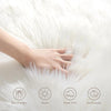 White Small Area Rugs, Fluffy Sheepskin Fur Rug, Ultra Soft 2x3 Ft Rugs