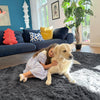 Area Rugs for Living Room Bedroom, Machine Washable 4x5.9 Feet Soft Fluffy Shaggy Bedside Rug