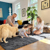 Area Rugs for Living Room Bedroom, Machine Washable 4x5.9 Feet Soft Fluffy Shaggy Bedside Rug